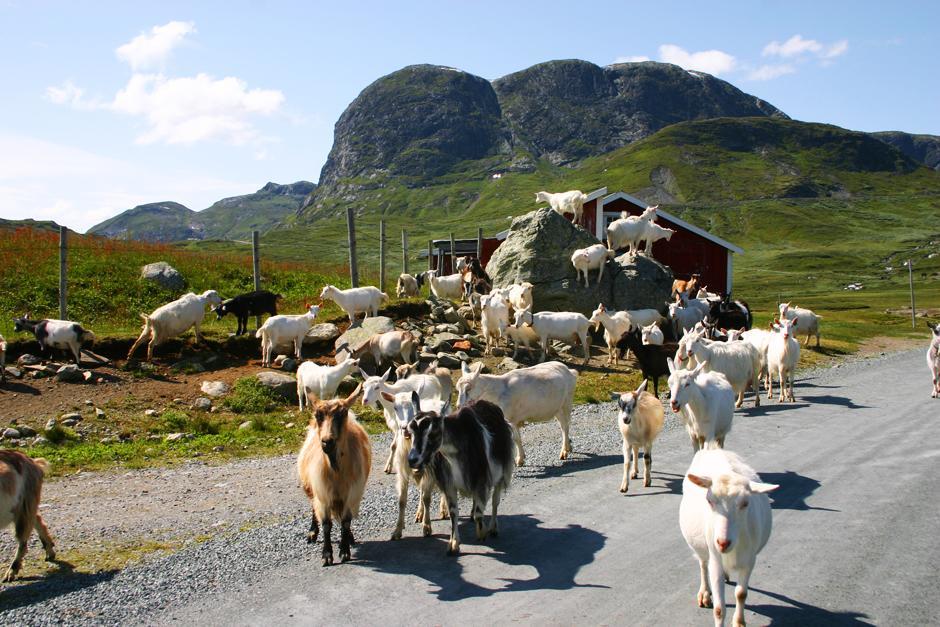 Liatoppen Fjellhotell อัล ภายนอก รูปภาพ