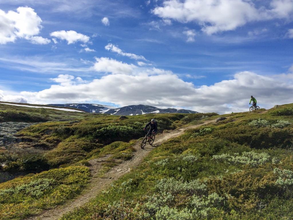Liatoppen Fjellhotell อัล ภายนอก รูปภาพ
