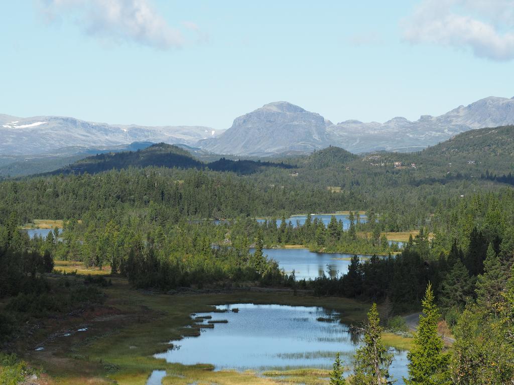 Liatoppen Fjellhotell อัล ภายนอก รูปภาพ