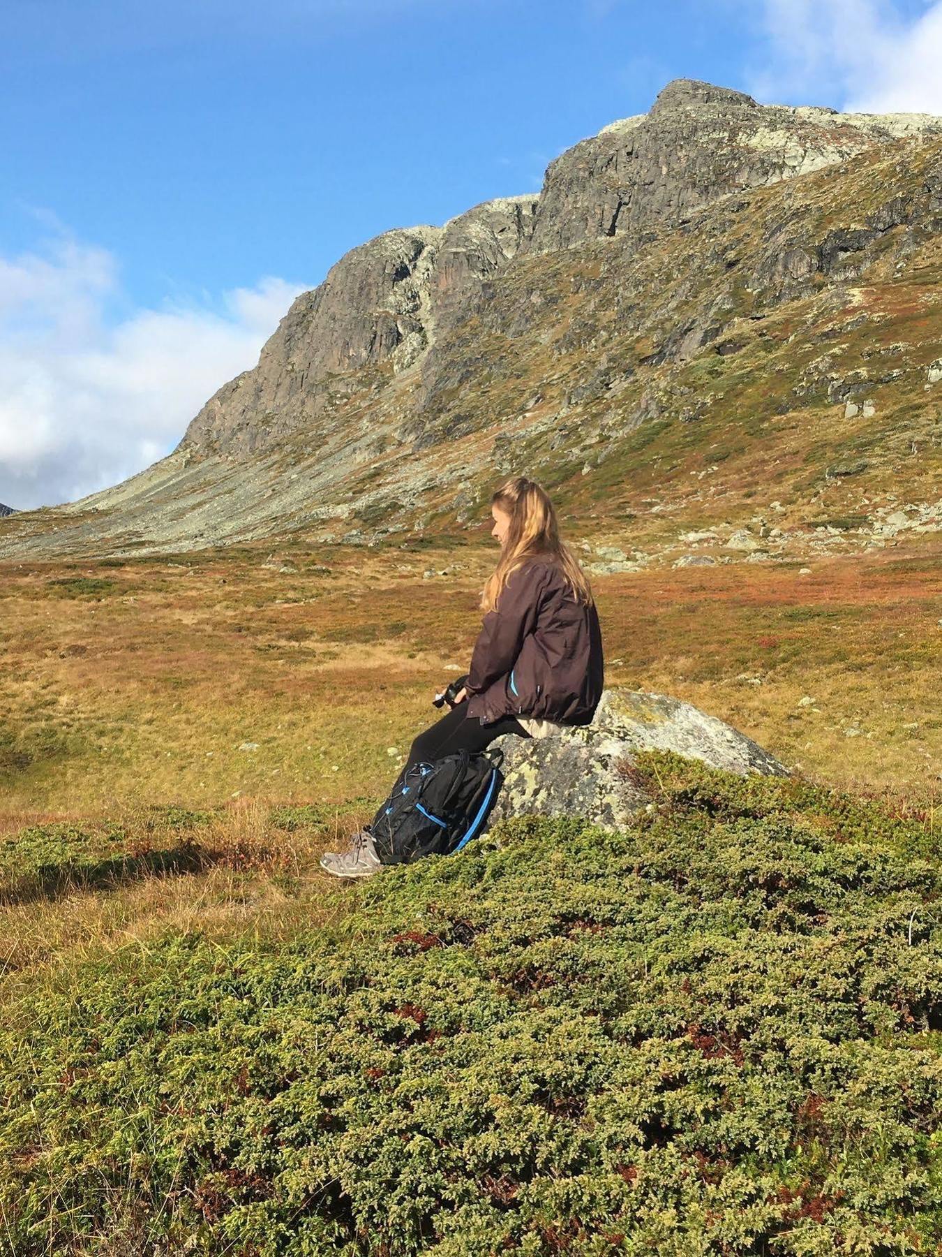 Liatoppen Fjellhotell อัล ภายนอก รูปภาพ