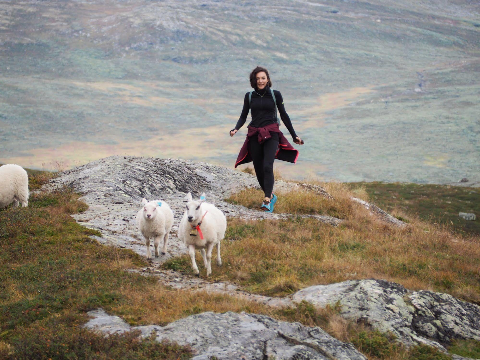 Liatoppen Fjellhotell อัล ภายนอก รูปภาพ