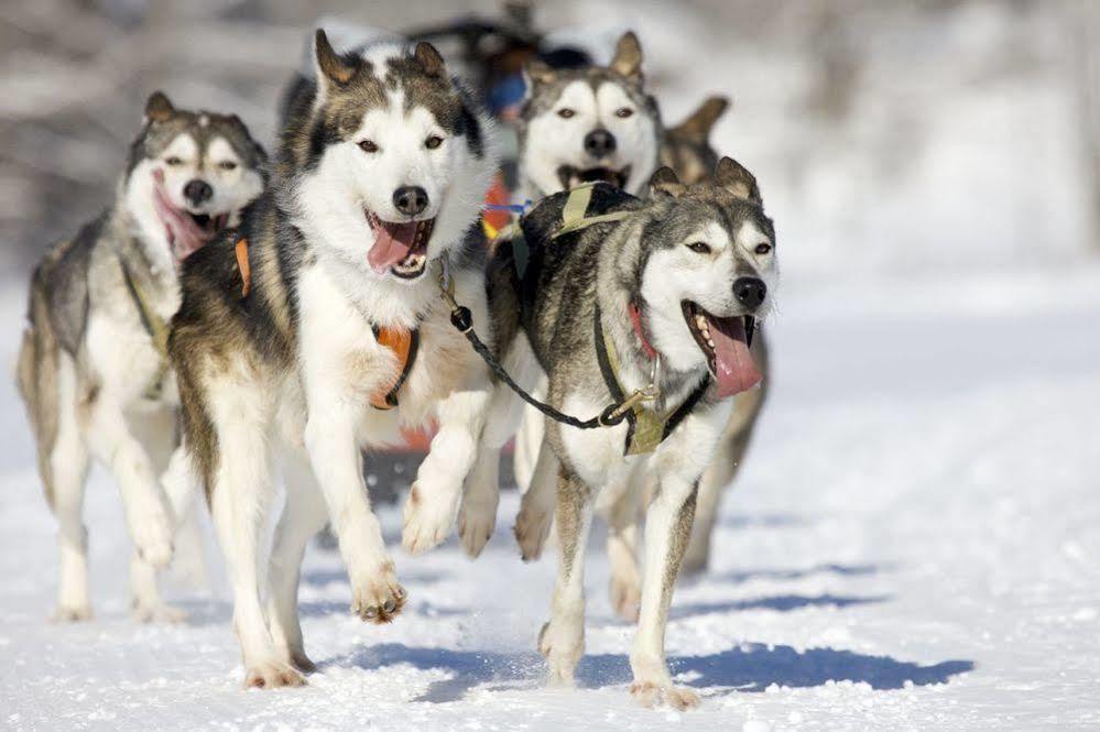Liatoppen Fjellhotell อัล ภายนอก รูปภาพ
