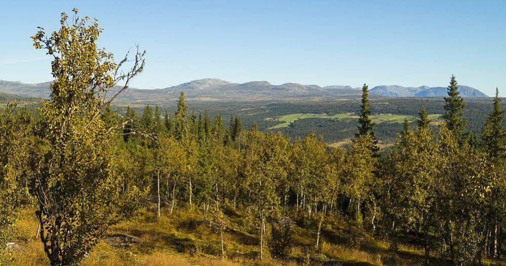 Liatoppen Fjellhotell อัล ภายนอก รูปภาพ